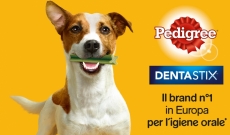 Come prendersi cura dell'igiene orale del tuo cane con Dentastix